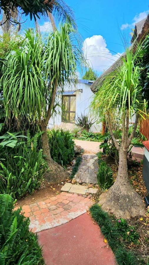 Lavender Villa No Loadshedding 肯普顿帕克 外观 照片